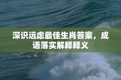 深识远虑最佳生肖答案，成语落实解释释义插图