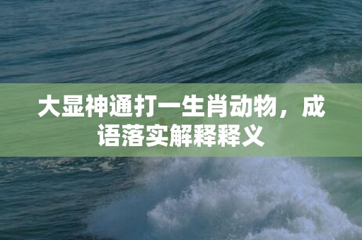 大显神通打一生肖动物，成语落实解释释义插图