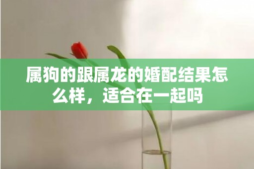 属狗的跟属龙的婚配结果怎么样，适合在一起吗