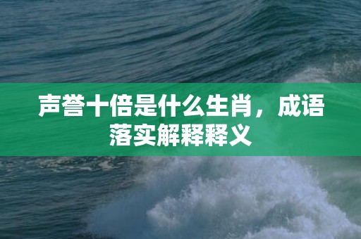 声誉十倍是什么生肖，成语落实解释释义插图