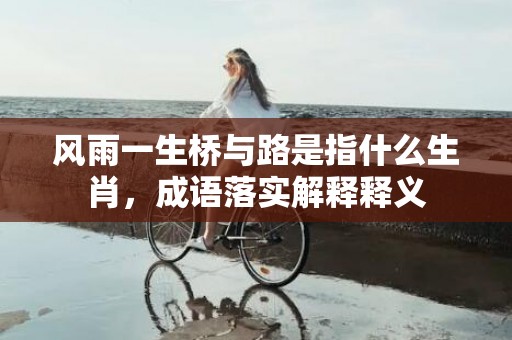 风雨一生桥与路是指什么生肖，成语落实解释释义