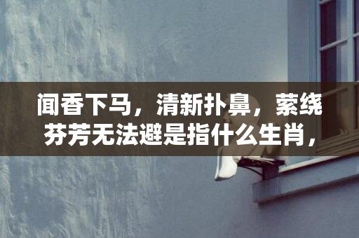 闻香下马，清新扑鼻，萦绕芬芳无法避是指什么生肖，成语落实解释释义插图