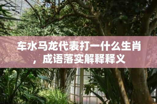 车水马龙代表打一什么生肖，成语落实解释释义插图