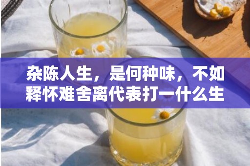 杂陈人生，是何种味，不如释怀难舍离代表打一什么生肖，成语落实解释释义插图