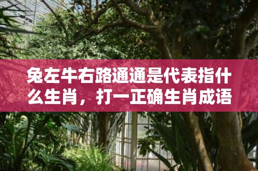 兔左牛右路通通是代表指什么生肖，打一正确生肖成语落实释义插图