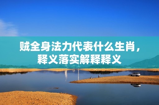 贼全身法力代表什么生肖，释义落实解释释义插图