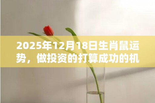 2025年12月18日生肖鼠运势，做投资的打算成功的机率比较大