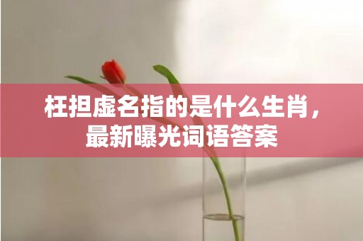 枉担虚名指的是什么生肖，最新曝光词语答案插图