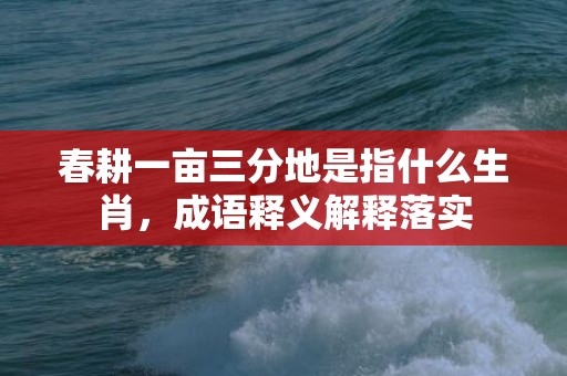 春耕一亩三分地是指什么生肖，成语释义解释落实