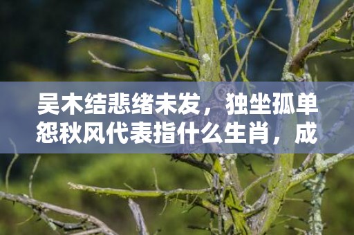 吴木结悲绪未发，独坐孤单怨秋风代表指什么生肖，成语落实解释释义插图