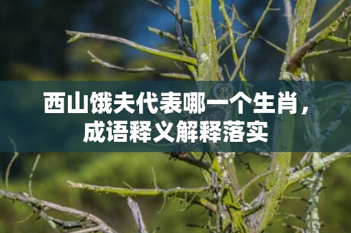 西山饿夫代表哪一个生肖，成语释义解释落实插图