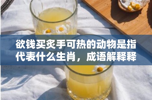 欲钱买炙手可热的动物是指代表什么生肖，成语解释释义落实