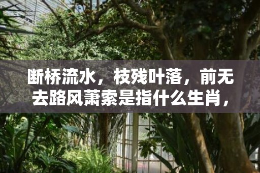 断桥流水，枝残叶落，前无去路风萧索是指什么生肖，成语落实解释释义插图