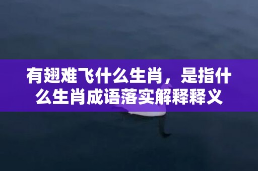 有翅难飞什么生肖，是指什么生肖成语落实解释释义插图