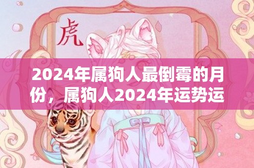 2024年属狗人最倒霉的月份，属狗人2024年运势运程每月运程