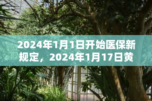 2024年1月1日开始医保新规定，2024年1月17日黄历查询