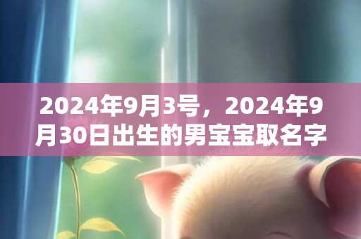 2024年9月3号，2024年9月30日出生的男宝宝取名字