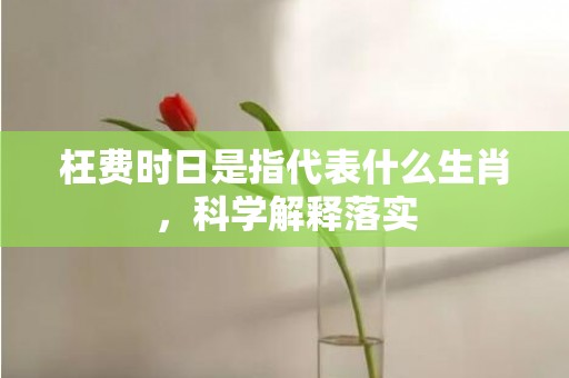 枉费时日是指代表什么生肖，科学解释落实插图