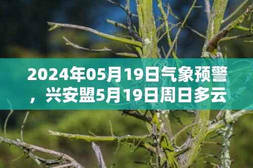 2024年05月19日气象预警，兴安盟5月19日周日多云转晴最高气温20℃