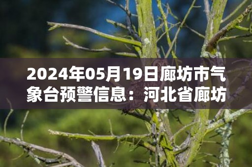 2024年05月19日廊坊市气象台预警信息：河北省廊坊市发布大风蓝色预警