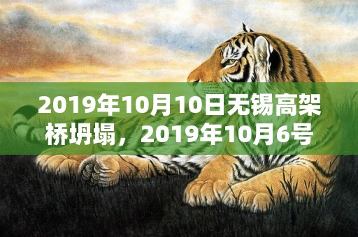 2019年10月10日无锡高架桥坍塌，2019年10月6号出生的女孩如何起好名字，五行属什么