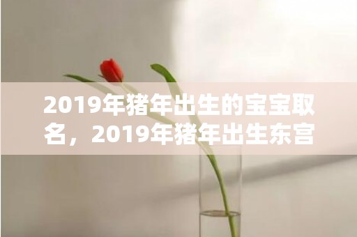 2019年猪年出生的宝宝取名，2019年猪年出生东宫姓女孩怎么样起名字，东宫姓女孩好名推荐