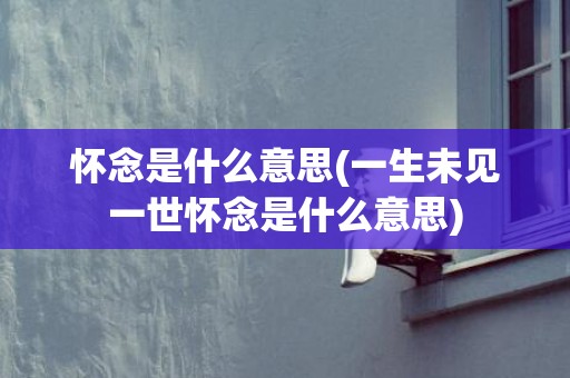 怀念是什么意思(一生未见一世怀念是什么意思)