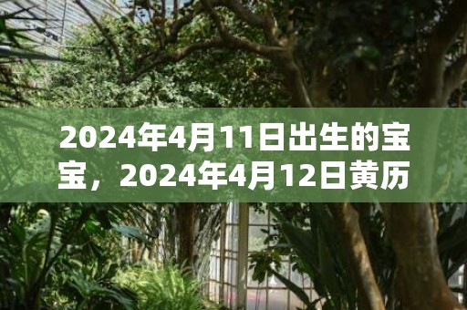 2024年4月11日出生的宝宝，2024年4月12日黄历查询