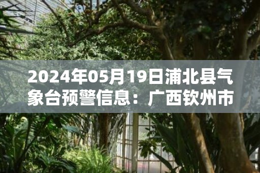 2024年05月19日浦北县气象台预警信息：广西钦州市浦北县发布暴雨橙色预警