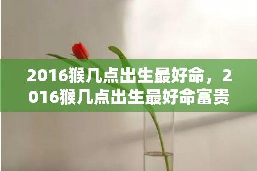 2016猴几点出生最好命，2016猴几点出生最好命富贵