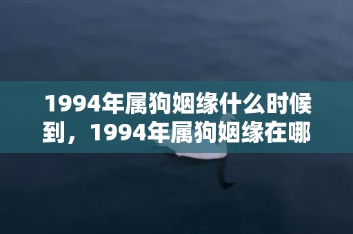 1994年属狗姻缘什么时候到，1994年属狗姻缘在哪年最旺盛