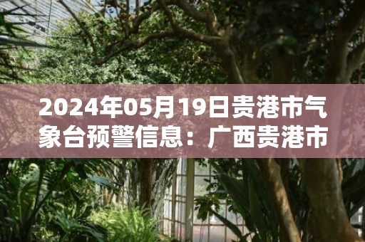 2024年05月19日贵港市气象台预警信息：广西贵港市更新暴雨橙色预警