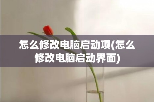 怎么修改电脑启动项(怎么修改电脑启动界面)