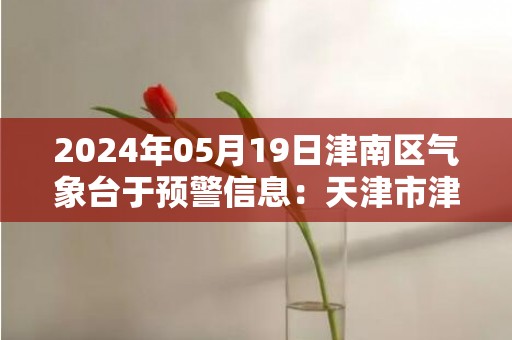 2024年05月19日津南区气象台于预警信息：天津市津南区发布雷电黄色预警