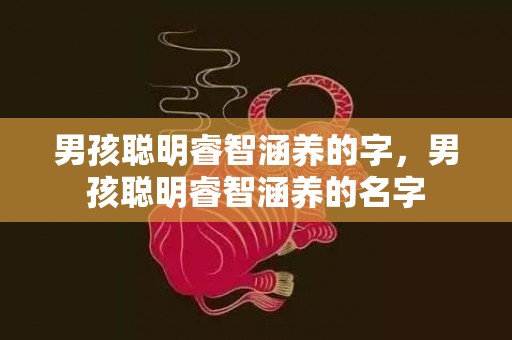 男孩聪明睿智涵养的字，男孩聪明睿智涵养的名字