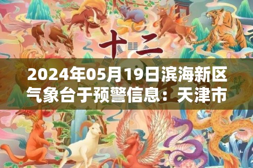 2024年05月19日滨海新区气象台于预警信息：天津市滨海新区发布雷电黄色预警