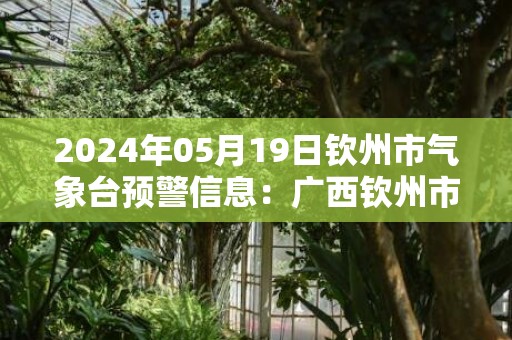 2024年05月19日钦州市气象台预警信息：广西钦州市更新雷雨大风橙色预警