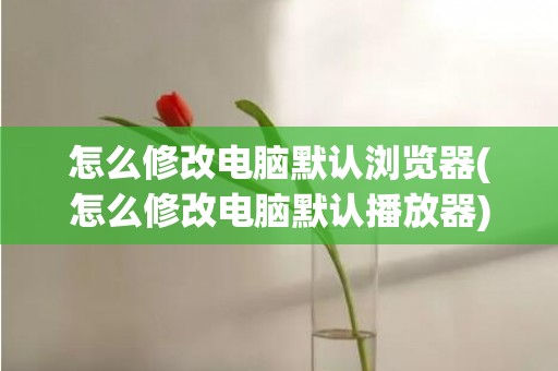 怎么修改电脑默认浏览器(怎么修改电脑默认播放器)