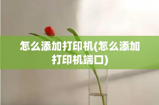 怎么添加打印机(怎么添加打印机端口)