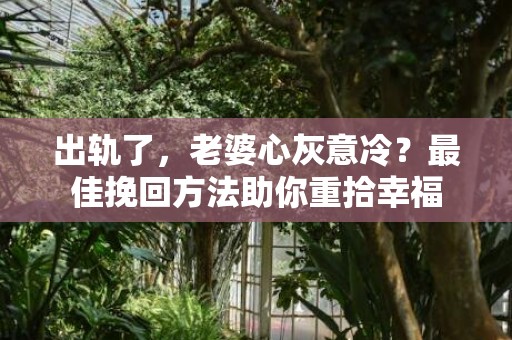 出轨了，老婆心灰意冷？最佳挽回方法助你重拾幸福