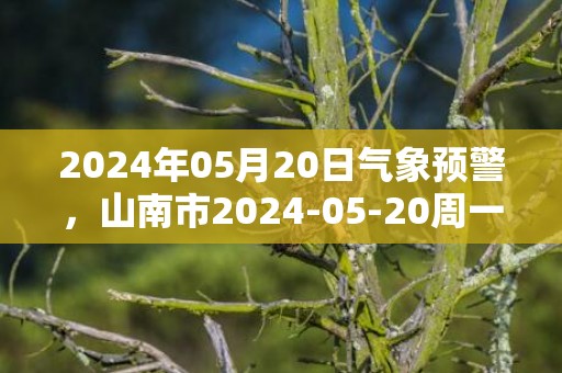 2024年05月20日气象预警，山南市2024-05-20周一多云最高气温24℃