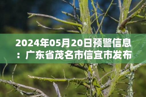 2024年05月20日预警信息：广东省茂名市信宜市发布暴雨红色预警