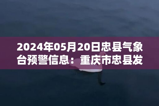 2024年05月20日忠县气象台预警信息：重庆市忠县发布暴雨蓝色预警