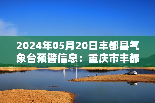 2024年05月20日丰都县气象台预警信息：重庆市丰都县发布暴雨蓝色预警