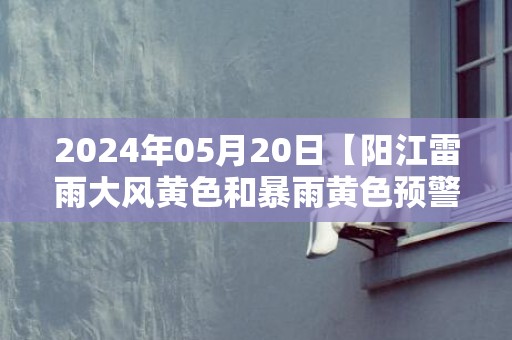 2024年05月20日【阳江雷雨大风黄色和暴雨黄色预警】受对流云系影响，预计未来6小时，我市有雷暴、短时强降水和6到8级短时大风等强对流天气，阳江市气象台于预警信息：广东省阳江市发布暴雨黄色预警