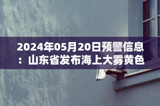 2024年05月20日预警信息：山东省发布海上大雾黄色预警