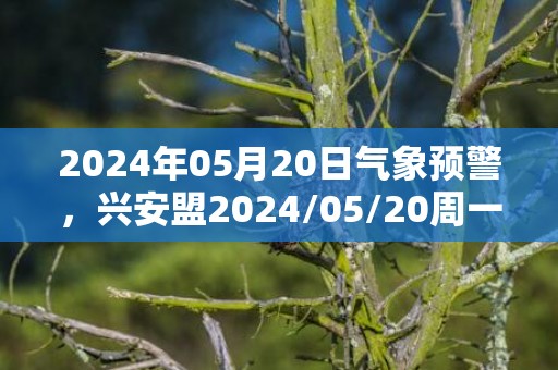 2024年05月20日气象预警，兴安盟2024/05/20周一晴转多云最高气温26℃