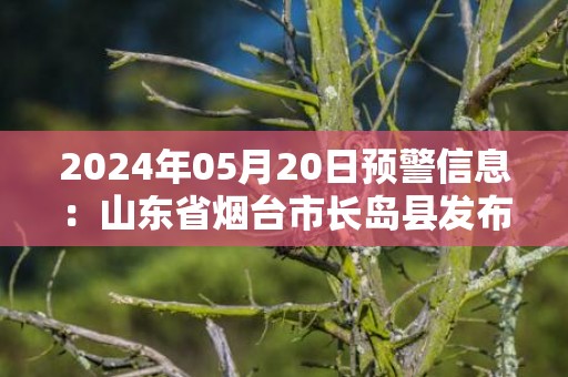 2024年05月20日预警信息：山东省烟台市长岛县发布大雾橙色预警