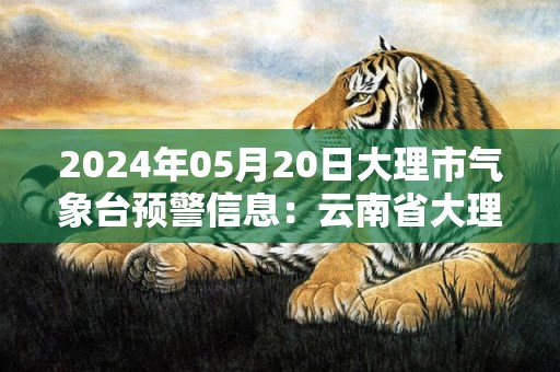 2024年05月20日大理市气象台预警信息：云南省大理白族自治州发布暴雨蓝色预警