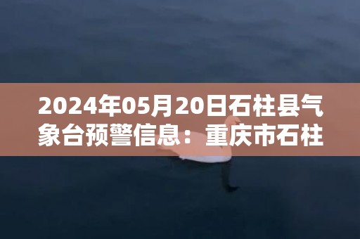 2024年05月20日石柱县气象台预警信息：重庆市石柱土家族自治县发布暴雨蓝色预警